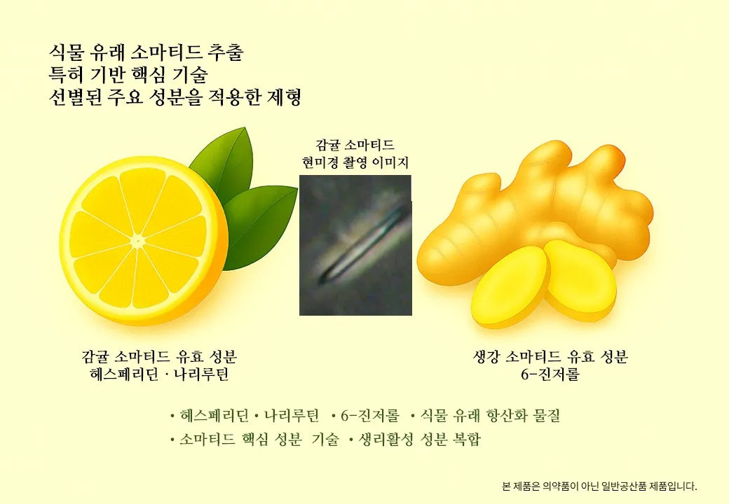 슬라이드 159