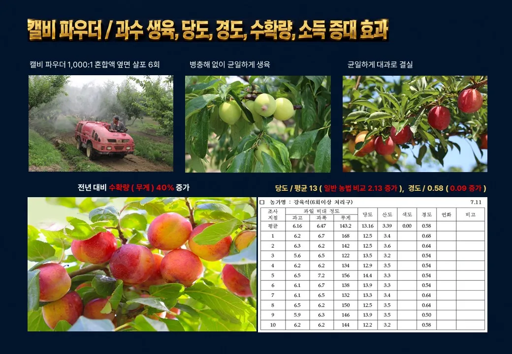 슬라이드 199