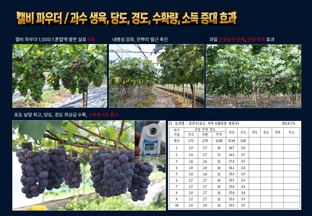 슬라이드 200