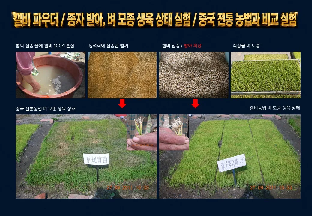 슬라이드 201