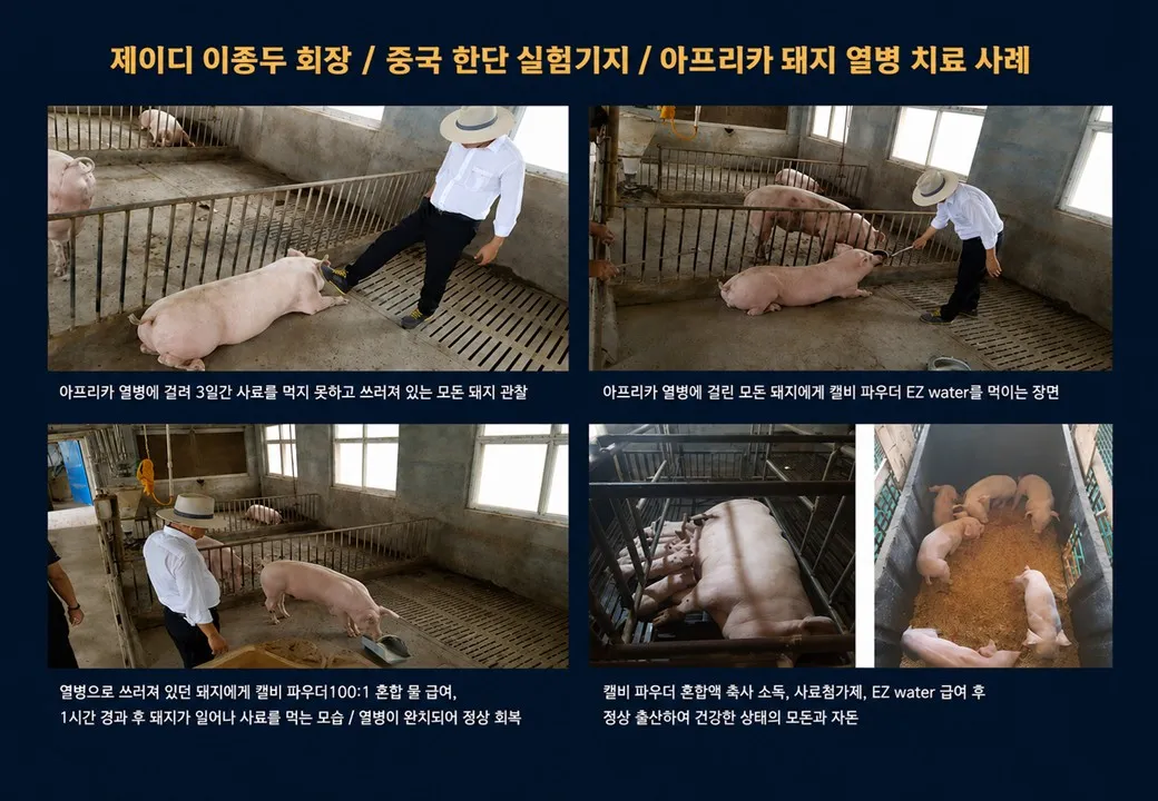 슬라이드 209