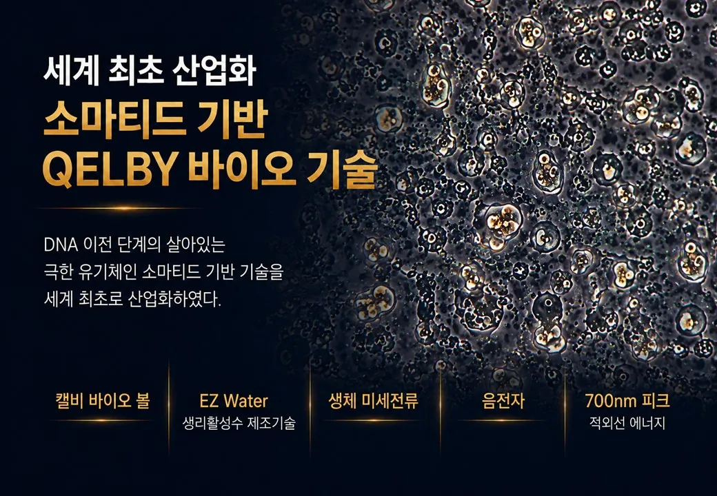 슬라이드 231