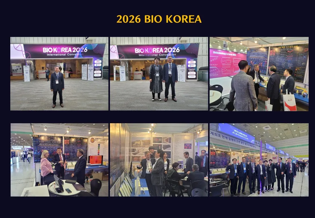 슬라이드 240